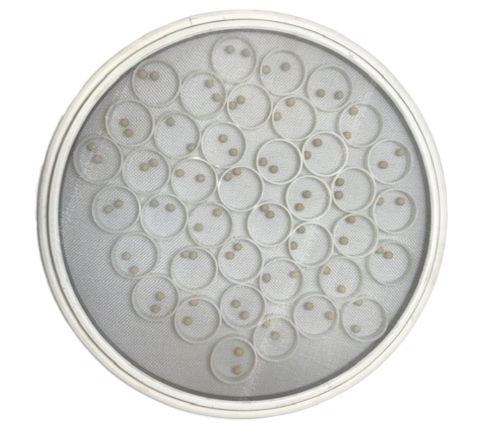 30 inch Self-Cleaning Sandwich Screen